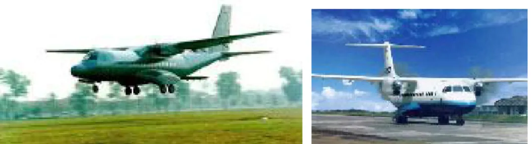 Gambar 3.1 CN-235 dan Gambar 3.2 N250, hasil penguasaan  teknologi putera-puteri Indonesia yang dirintis BJ