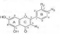 Gambar 2  Rumus struktur flavonoid. 