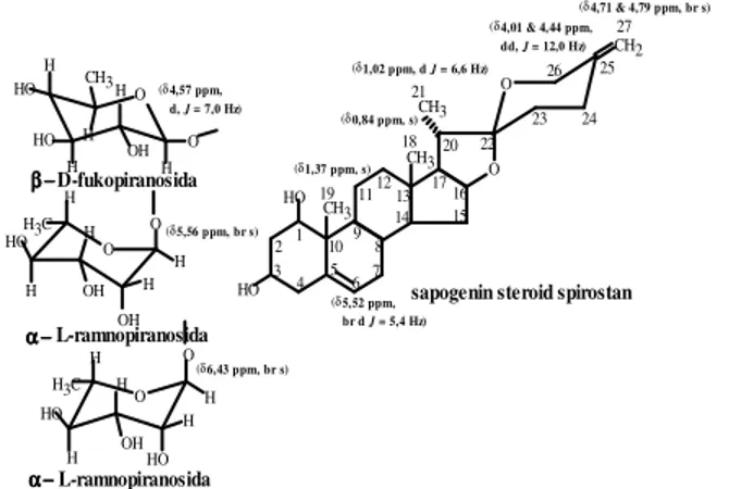 Gambar 1.  Saponin steroid spirostan