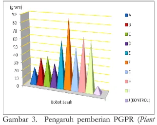 Gambar  3.    Pengaruh  pemberian  PGPR  (Plant  Growth  Promoting  Rhizobakteri)  dan  Urine  Kelinci  terhadap  bobot  basah  tanaman cabai merah (Capsicum annum  L.)