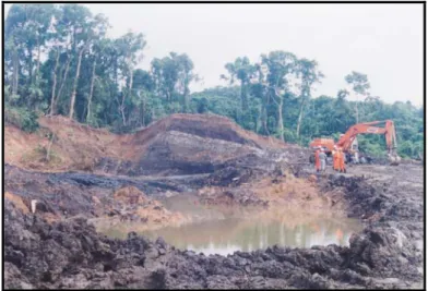 Foto 1  Lokasi penambangan batubara pada seam F dengan cara tambang terbuka 