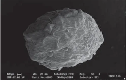 Gambar 3. Foto SEM (perbesaran 50x) sel amobil Lactobacillus acidophilus FNCC116 dalam alginat 2%