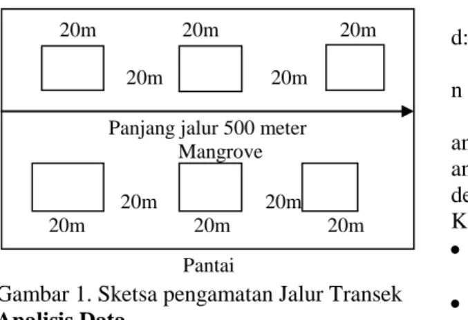 Gambar 1. Sketsa pengamatan Jalur Transek  Analisis Data 