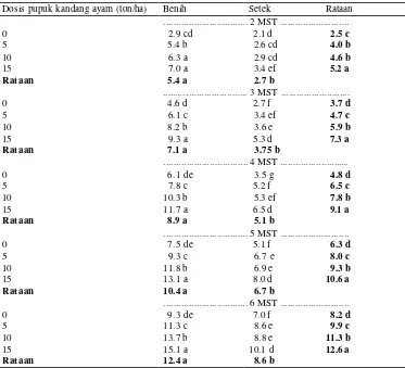 Tabel 5.  Jumlah cabang kolesom pada berbagai interaksi perlakuan asal bibit   dan dosis pupuk kandang ayam 