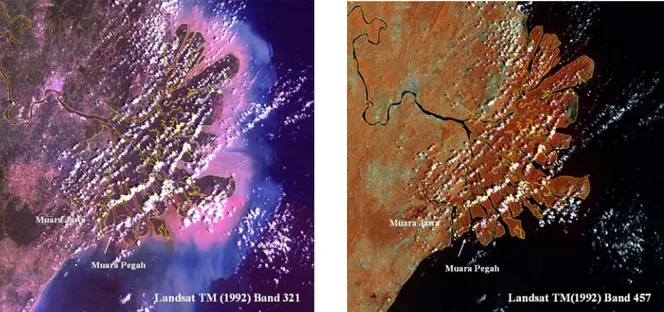 Gambar 4. Sedimentasi di muara delta Mahakam pada citra Landsat TM tahun 1992 band 321,  ditunjukan oleh warna merah muda (kiri), sedangkan garis kuning adalah garis pantai delta  Mahakam berdasarkan penafsiran citra Landsat tahun 1992, band 457