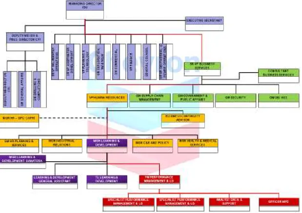 Gambar 1.6.  Struktur Lama Organisasi Chevron IBU 