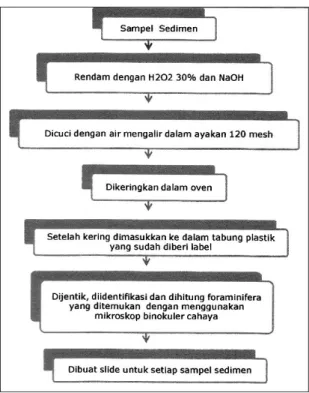 Gambar 5.  Dendogram Hasil Analisis Kluster Kumpulan Polen Delta Front         Delta Mahakam 