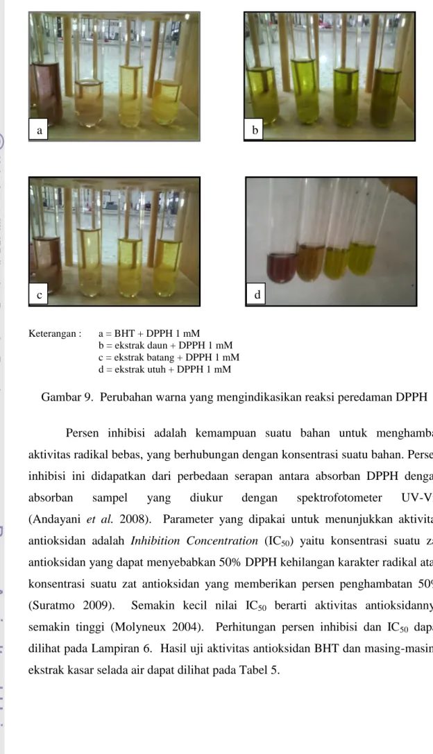 Gambar 9.  Perubahan warna yang mengindikasikan reaksi peredaman DPPH  Persen  inhibisi  adalah  kemampuan  suatu  bahan  untuk  menghambat  aktivitas radikal bebas, yang berhubungan dengan konsentrasi suatu bahan