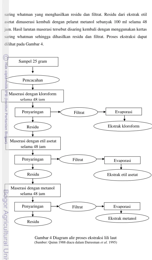 Gambar 4 Diagram alir proses ekstraksi lili laut 