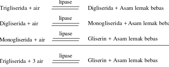 Gambar 1. Tahapan hidrolisis trigliserida oleh lipase (Brockman, 1984). 