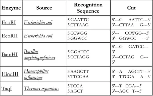 Tabel 1. Enzim restriksi yang sering digunakan pada proses rekombinasi DNA 