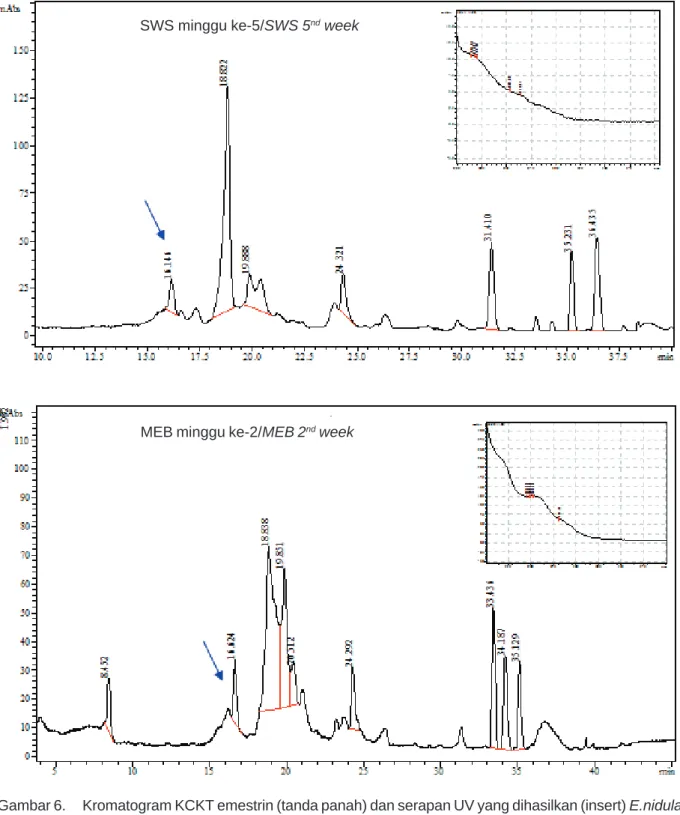 Gambar 6. Kromatogram KCKT emestrin (tanda panah) dan serapan UV yang dihasilkan (insert) E.nidulans pada media SWS minggu ke-5 dan MEB minggu ke-2.