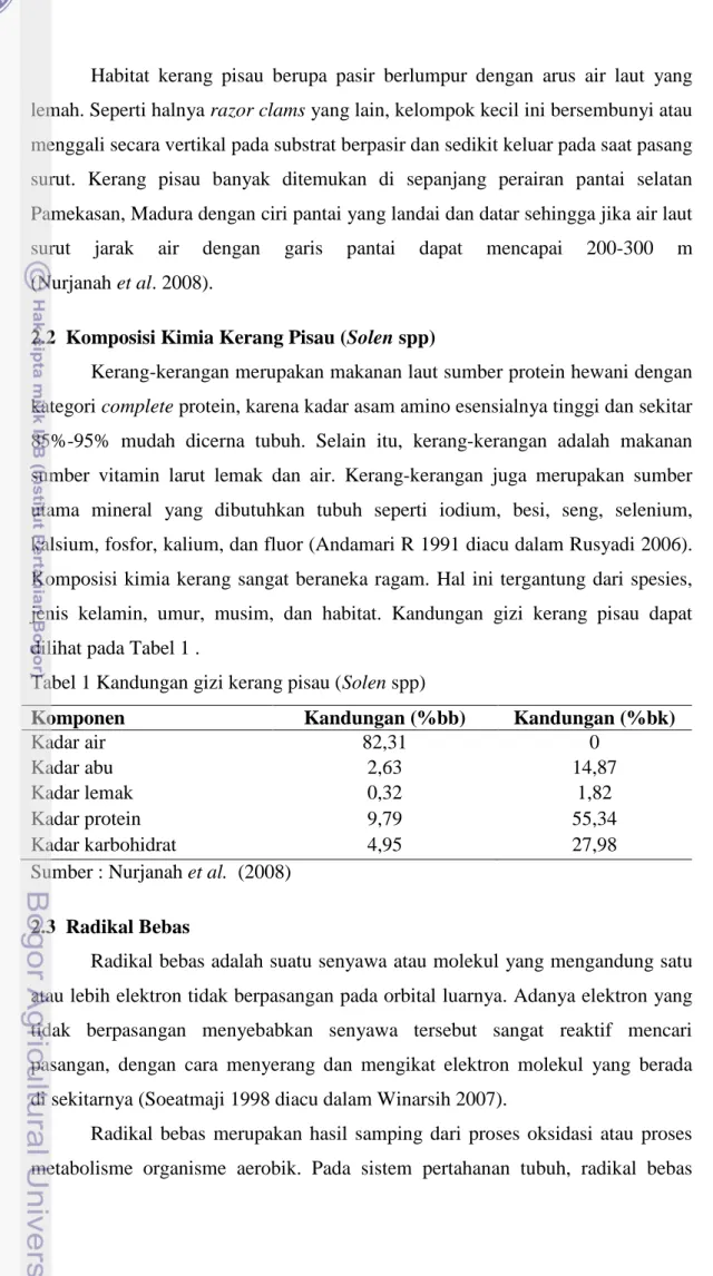 Tabel 1 Kandungan gizi kerang pisau (Solen spp) 
