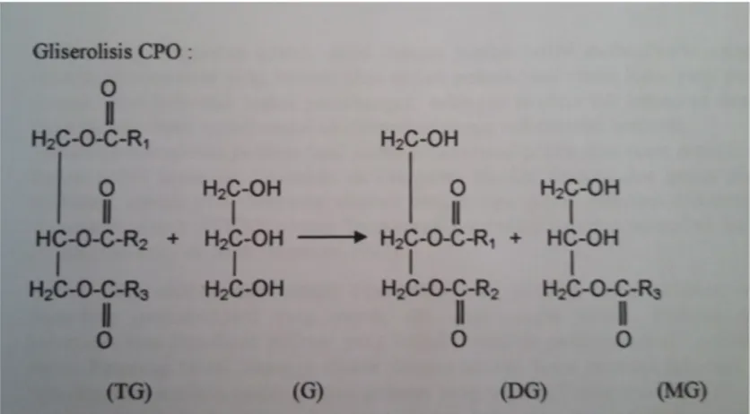 Gambar 2-1. Reaksi gliserolisis CPO membentuk Monogliserida[12][14].