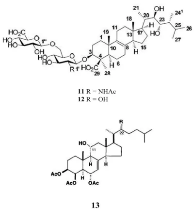 Gambar 8. Beberapa senyawa steroid yang berasal dari sponge memiliki aktivitas  anti bakteri, (11) ulososida F, (12) ulososida A dan (13) agosterol A