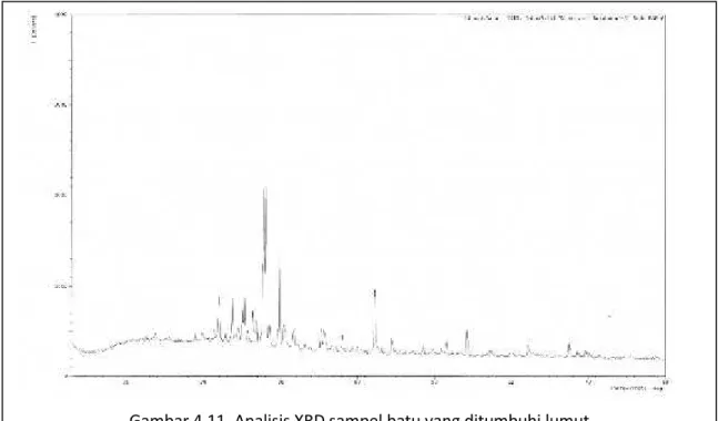 Gambar 4.11. Analisis XRD sampel batu yang ditumbuhi lumut