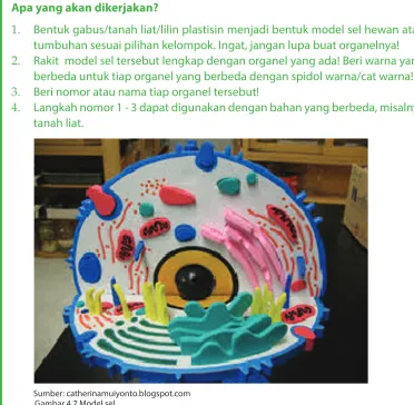 Gambar 4.7 Model sel