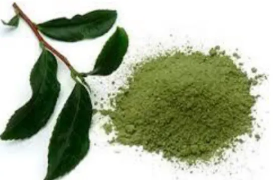 Gambar 3. Green Tea 
