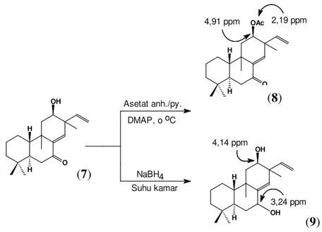 Gambar 3. Transformasi Kimia Senyawa 7 Dengan Cara Asetilasi Dan Hidrogenasi 