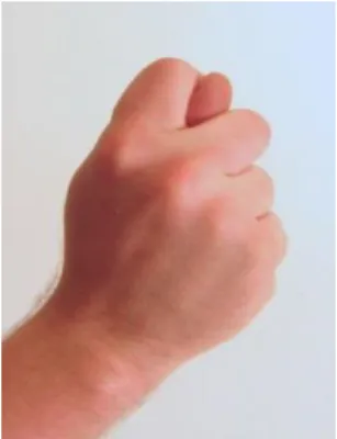 Gambar 9. Fig Hand  Makna Denotatif 