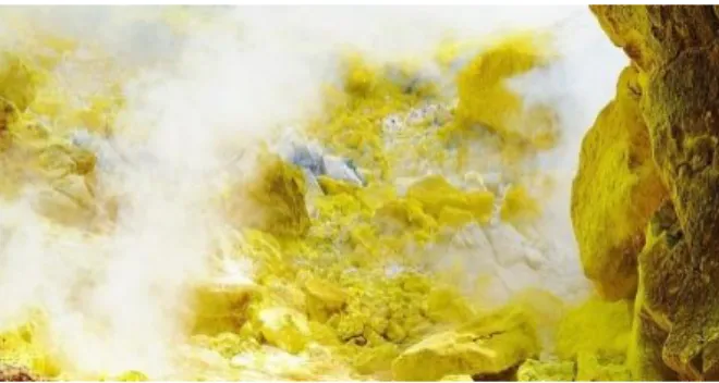 Gambar 10. Sulphur 
