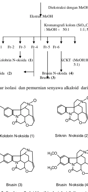 Gambar 1.  Prosedur isolasi  dan pemurnian senyawa alkaloid  dari S.  ligustrida   