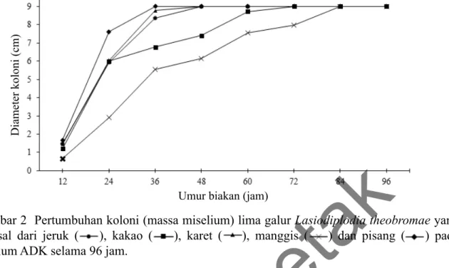 Gambar 2  Pertumbuhan koloni (massa miselium) lima galur Lasiodiplodia theobromae yang  berasal dari jeruk ( ), kakao ( ), karet ( ), manggis ( ) dan pisang ( ) pada  medium ADK selama 96 jam.