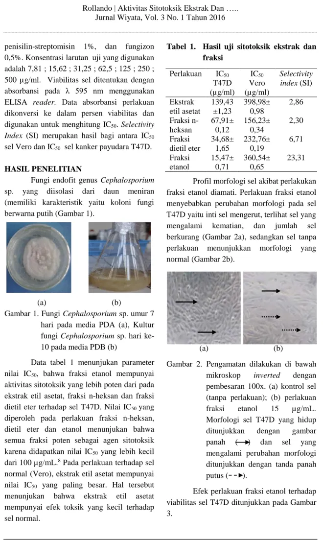 Gambar 1. Fungi Cephalosporium sp. umur 7  hari  pada  media  PDA  (a),  Kultur  fungi Cephalosporium sp