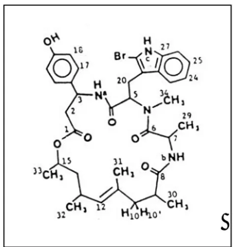 Gambar 11:  Struktur Jasplakinolide / Jas- Jas-pamide menurut Crews et al. 