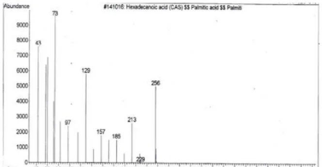 Gambar  4.  Spektrum  MS  isolat  CC_7    pada  t R  19,77 