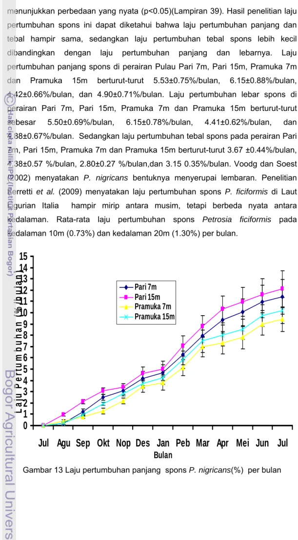 Gambar 13 Laju pertumbuhan panjang  spons P. nigricans(%)  per bulan 