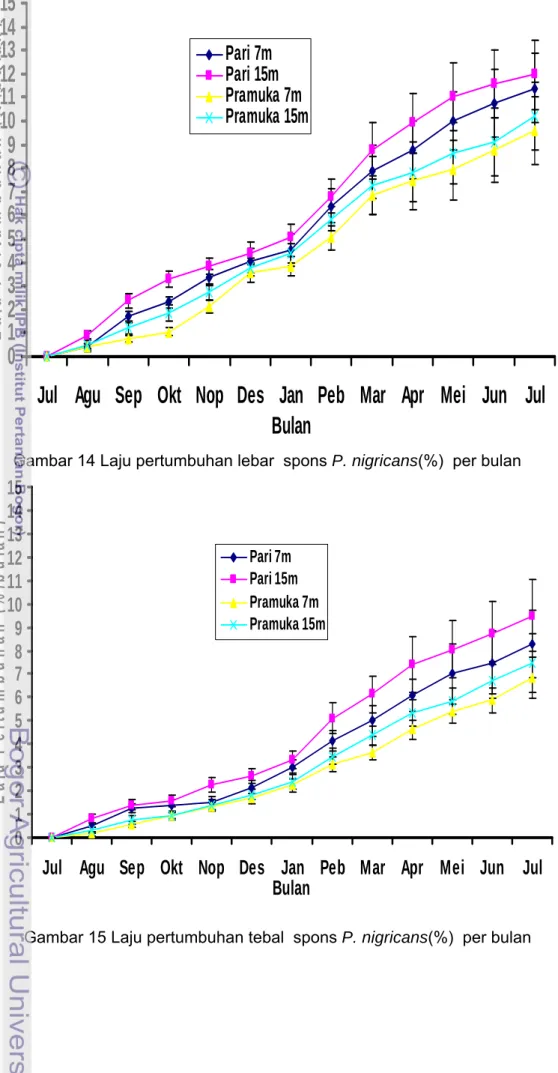 Gambar 14 Laju pertumbuhan lebar  spons P. nigricans(%)  per bulan 