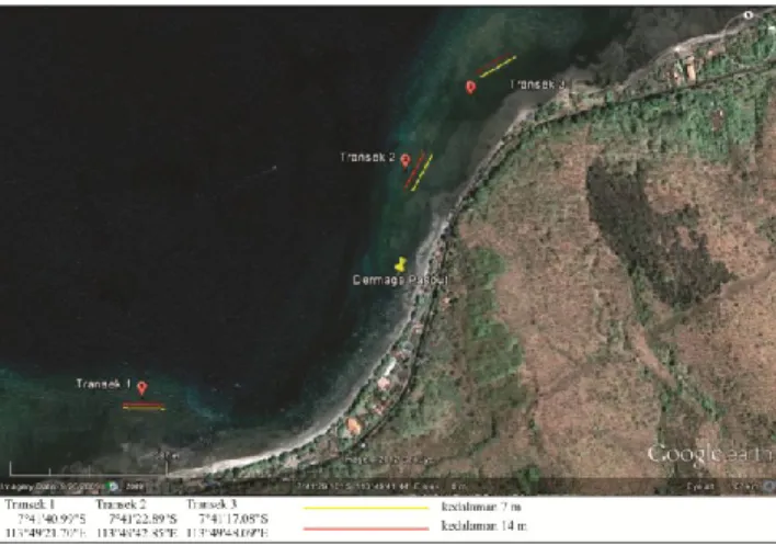 Gambar 1. Lokasi pengambilan sampel di pantai Pasir Putih Situbondo  (modifikasi dari www.google.earth.com)
