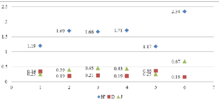 Gambar 1. Grafik hubungan nilai Indeks Keanekagaman (H’), Dominansi  (D) dan Kemerataan (J) pada Pantai Pasir Putih Situbondo