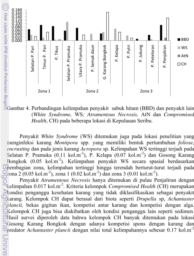 Gambar 4. Perbandingan kelimpahan penyakit  sabuk hitam (BBD) dan penyakit lain  (White Syndrome, WS; Atramentous Necrosis, AtN dan Compromised  Health, CH) pada beberapa lokasi di Kepulauan Seribu