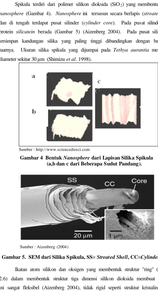 Gambar 4  Bentuk Nanosphere dari Lapisan Silika Spikula   (a,b dan c dari Beberapa Sudut Pandang)