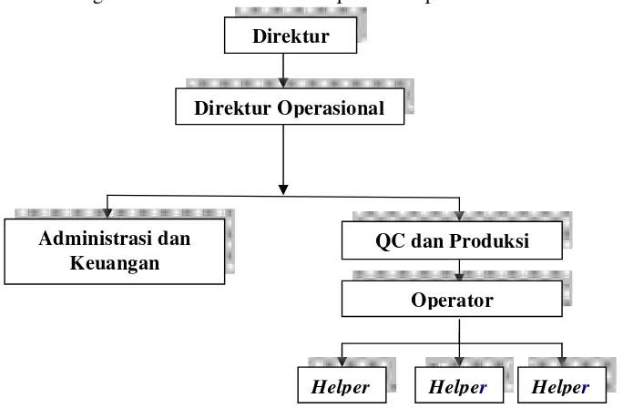 Gambar 1 . Struktur organisasi PT. FITS Mandiri  