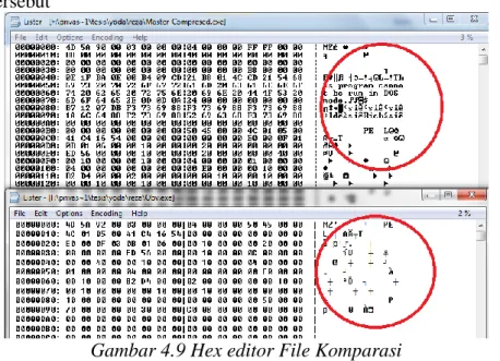 Gambar 4.9 Hex editor File Komparasi 