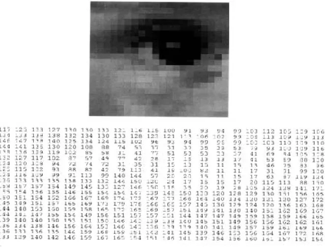 Gambar 2.2 Representasi pixel dalam sebuah potongan citra dijital 