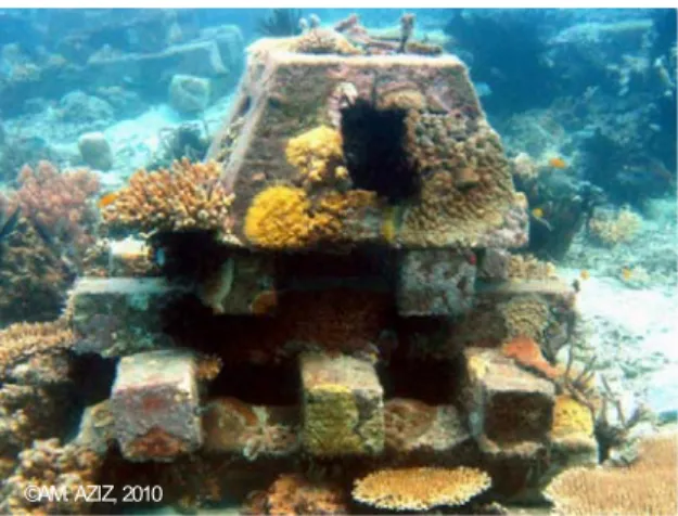 Gambar 2  Contoh terumbu buatan beton yang ditenggelamkan di perairan Pulau  Pramuka tahun 2001 (foto: Aziz 2010)