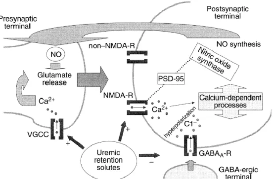 Gambar 3. Ilustrasi efek neurotoksik dari uremia pada sistem saraf pusat  