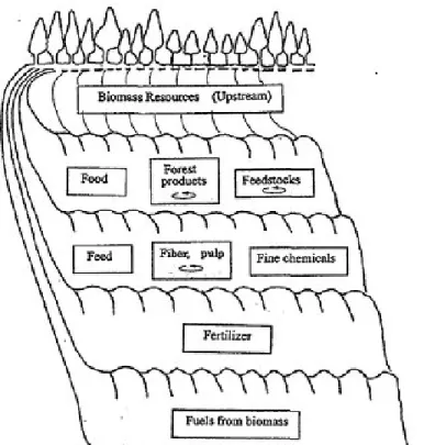 Gambar 1.3.1. Diagram pemanfaatan dan pendaur  ulangan biomassa