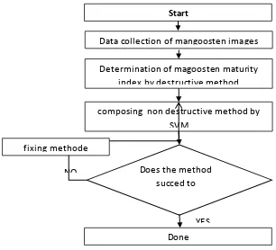 Figure 1: Development of non-destructive method for mangosteen maturity index 