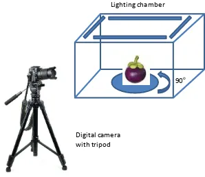 Figure 1rotation.  . A lighting chamber equipped with lamps was used to control and make a uniform intensity of light