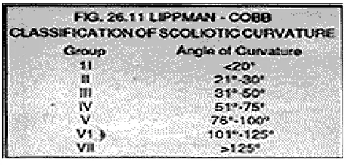 Gambar 5. Metode Lippman-Cobb 10