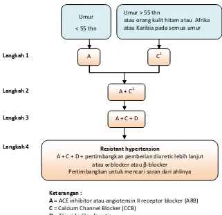 Gambar 1. Algoritma Penatalaksanaan Hipertensi Esensial, Terapi Awal dan  Kombinasi (Guideline UK