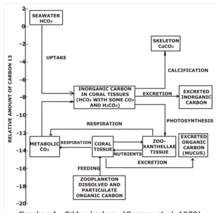 Gambar 4.  Siklus karbon. (Goreau et al. 1979)  
