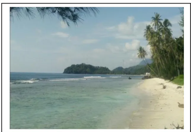 Tabel Analisa SWOT Objek Wisata Kawasan Pantai, Kecamatan Tapaktuan 