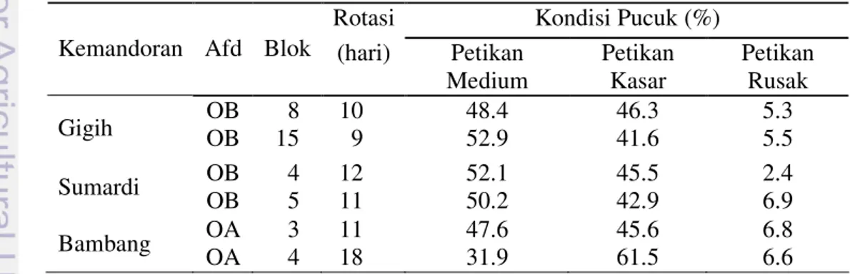 Tabel  11.  Komposisi  Pucuk  di  3  Wilayah  Kemandoran  Perkebunan    Rumpun Sari Kemuning 