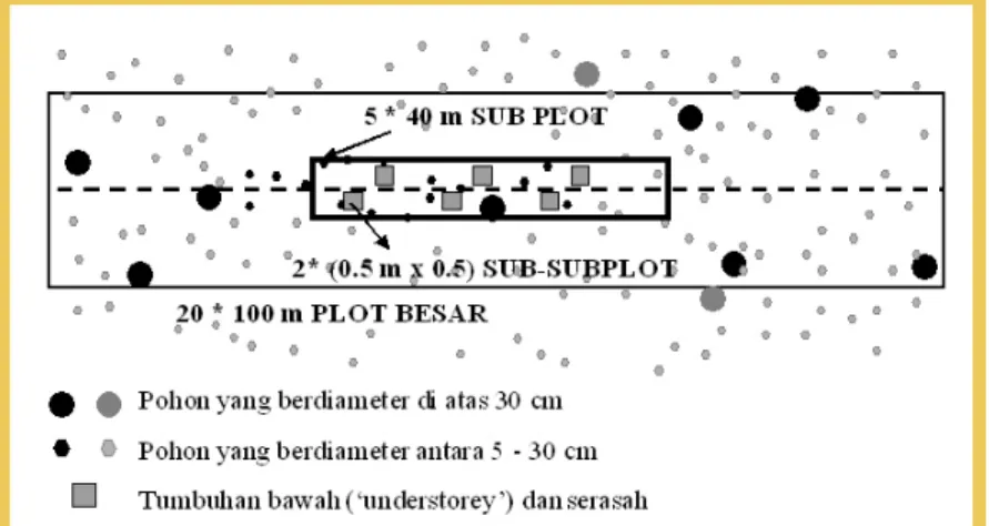 Gambar 2. SUB-PLOT contoh untuk pengukuran biomasa dan  nekromasa